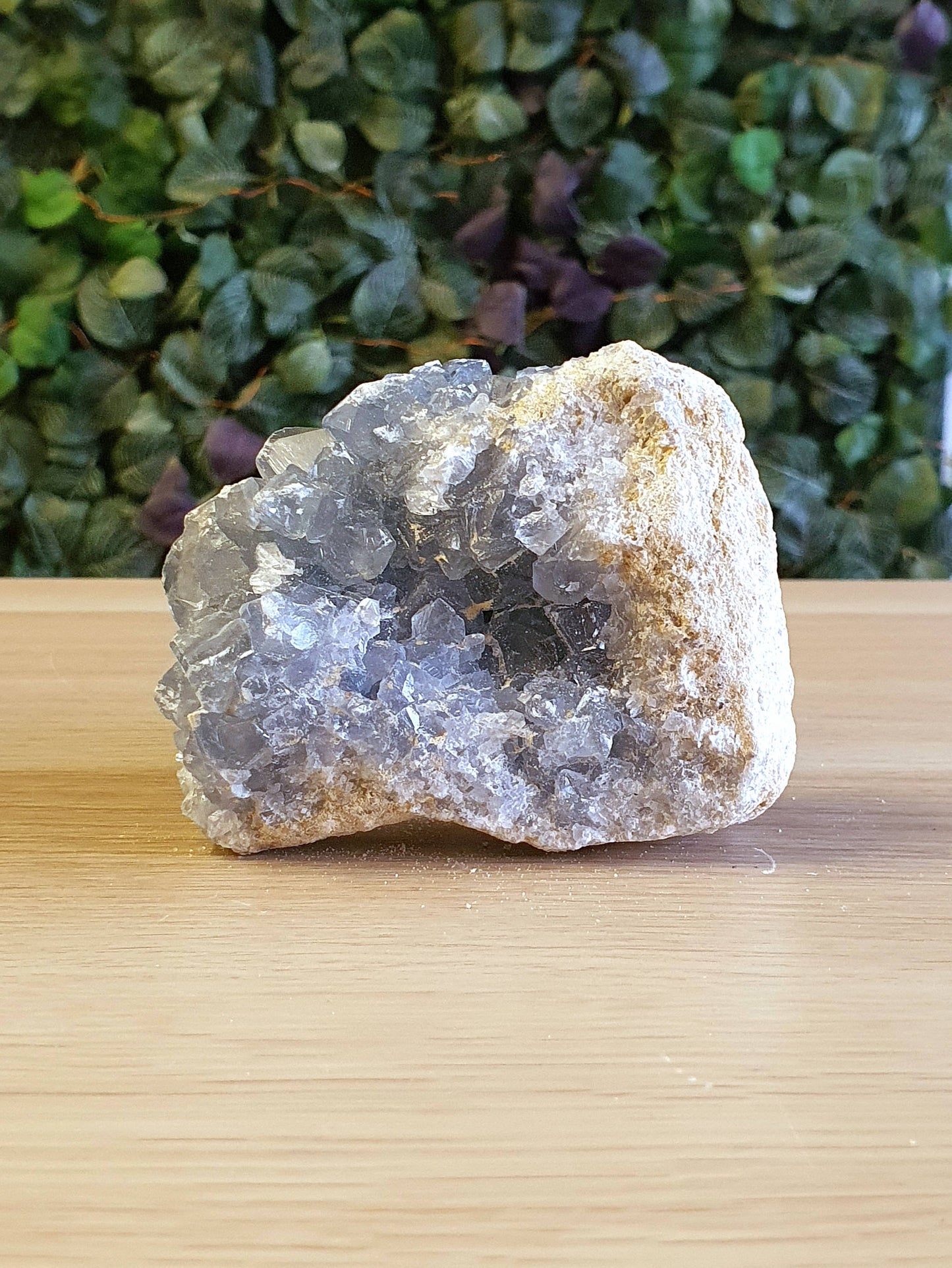 Celestine Cluster - 10cm x 7.5cm -  614g