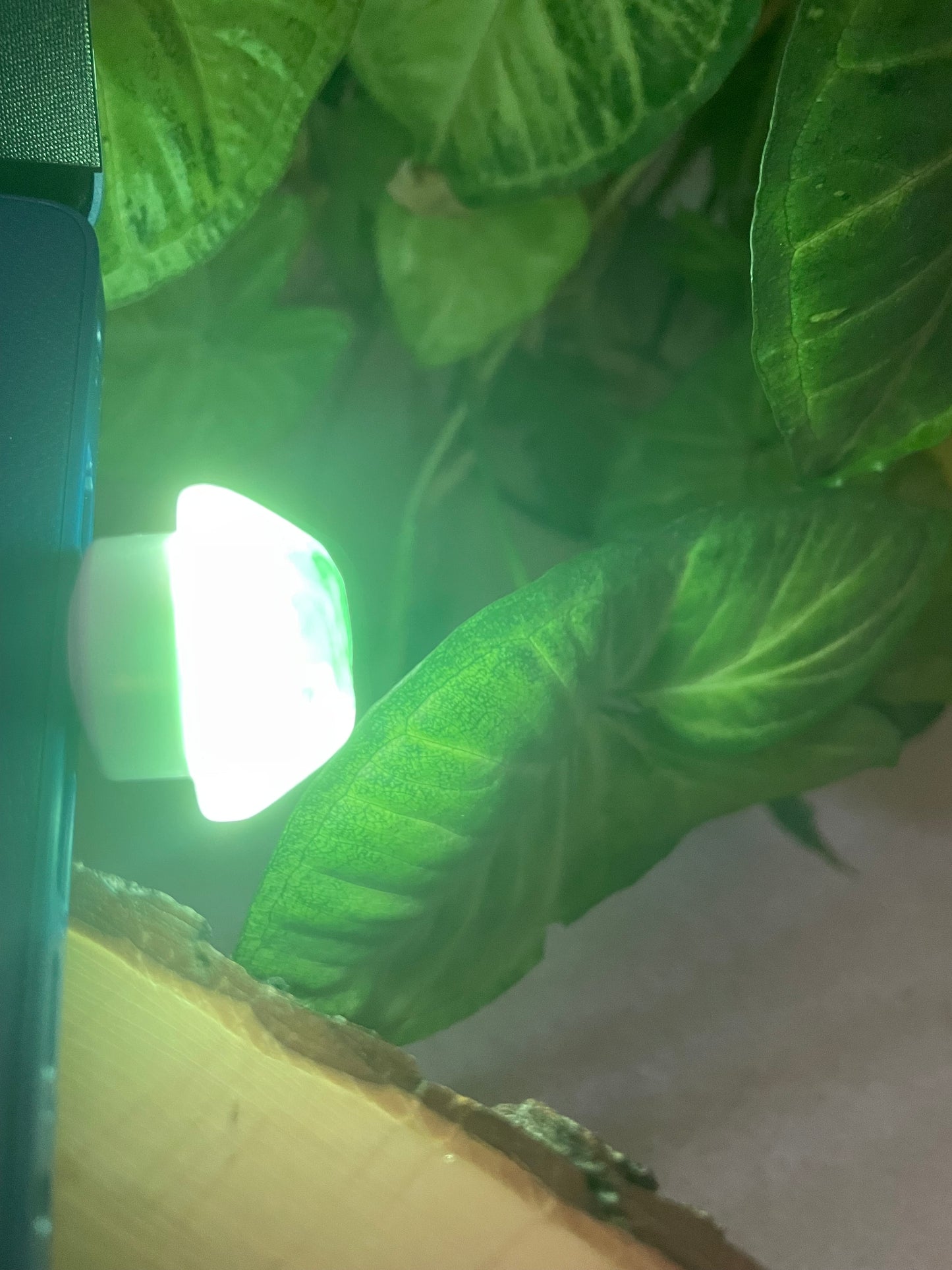 Green Fluorite usb light