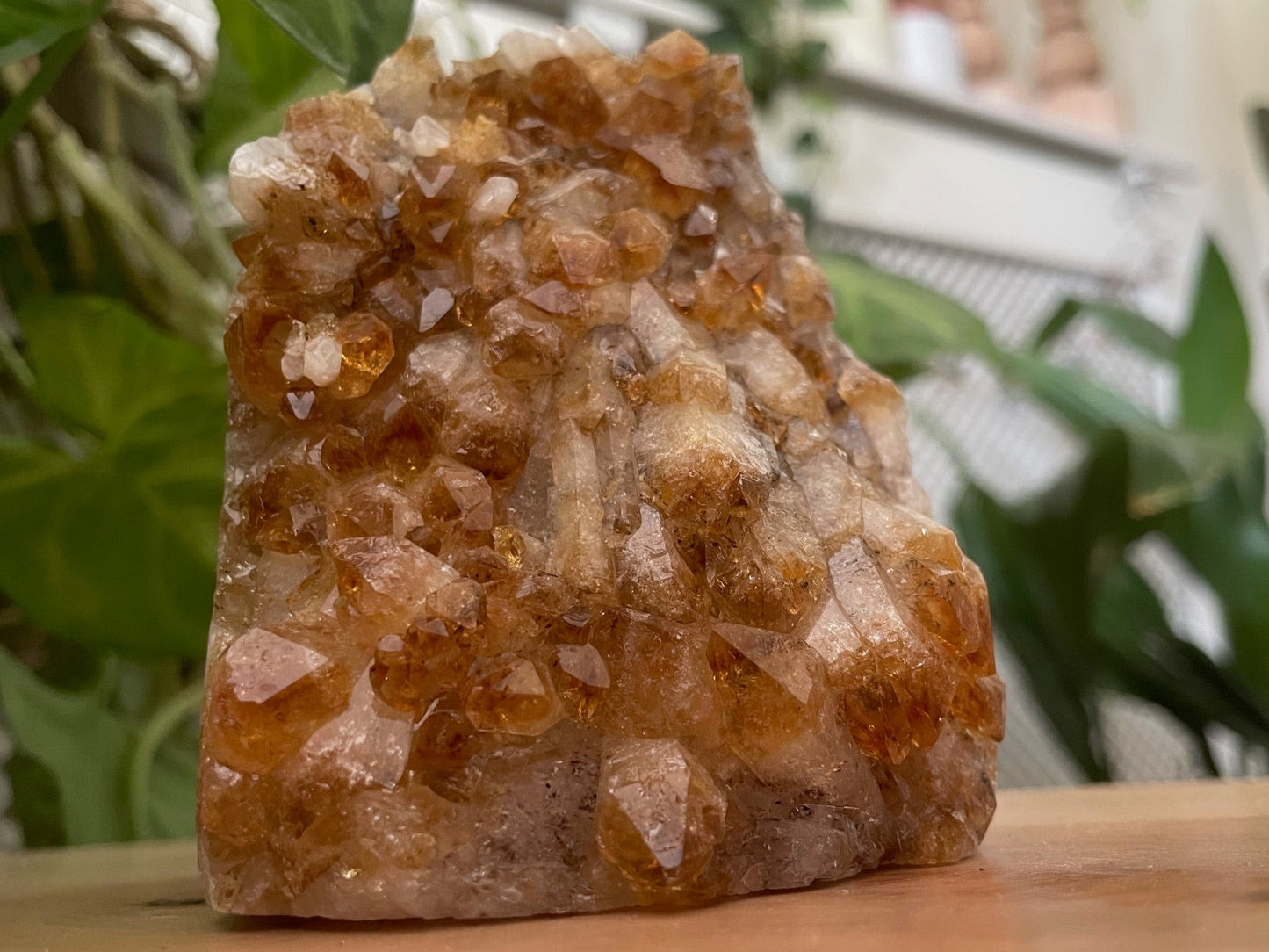Citrine Cut Base