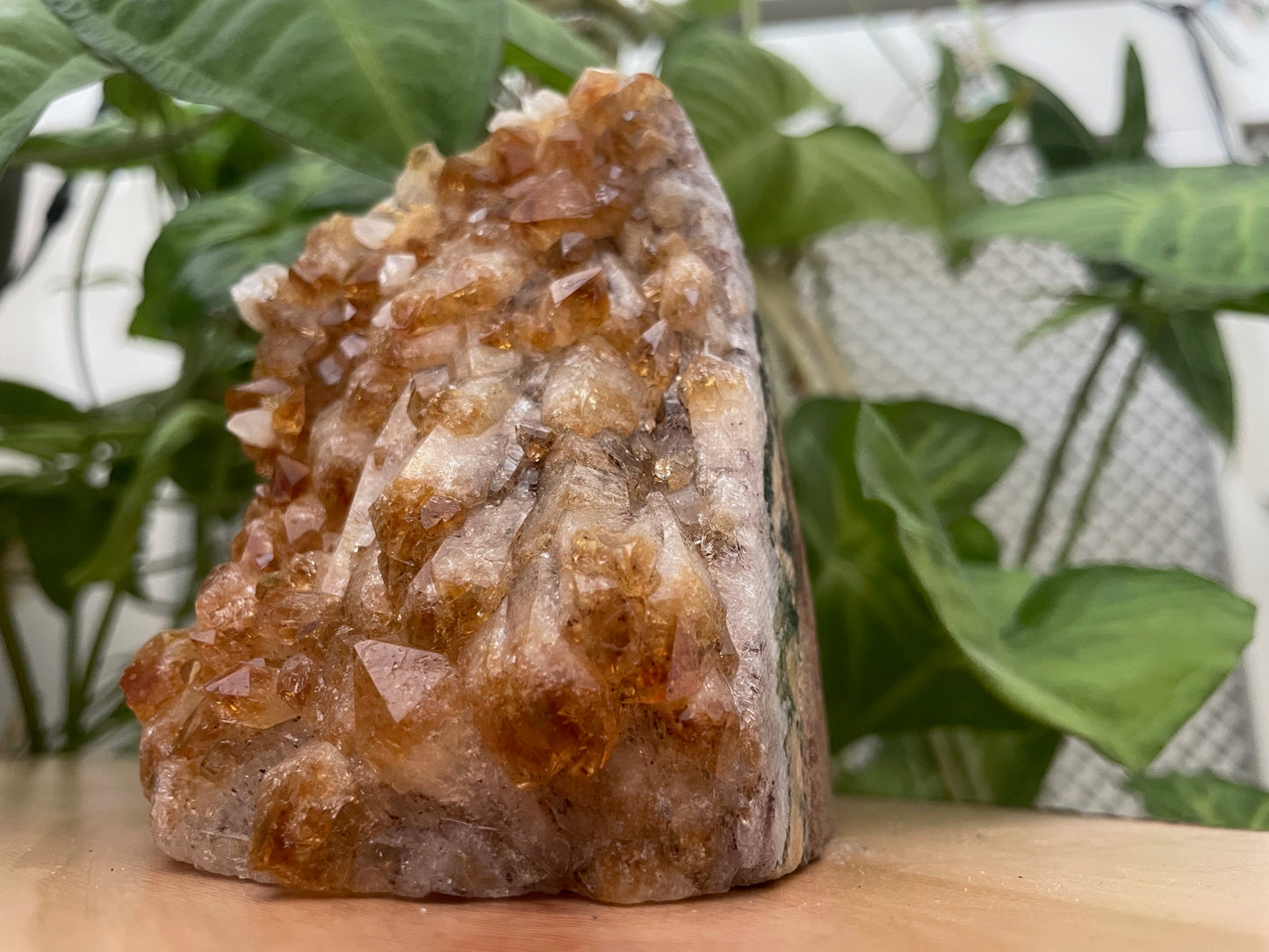Citrine Cut Base