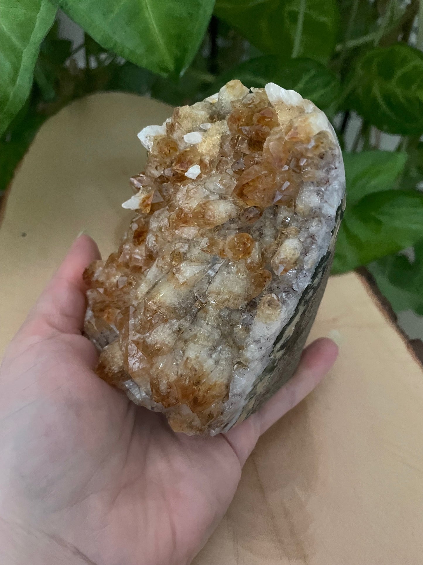Citrine Cut Base